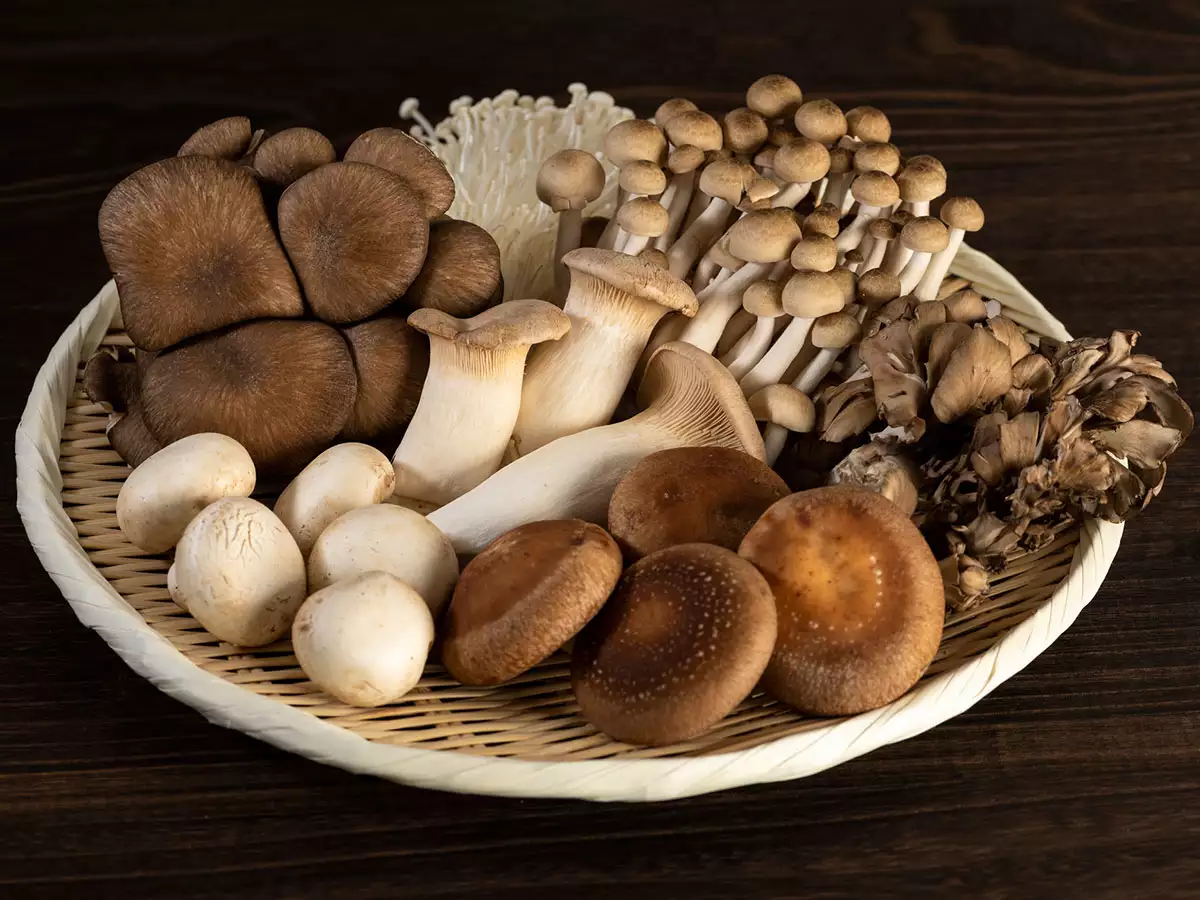 mushroom are perfect for diabetics